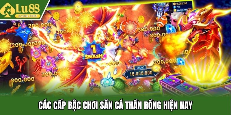 Các cấp bậc chơi săn cá thần rồng hiện nay