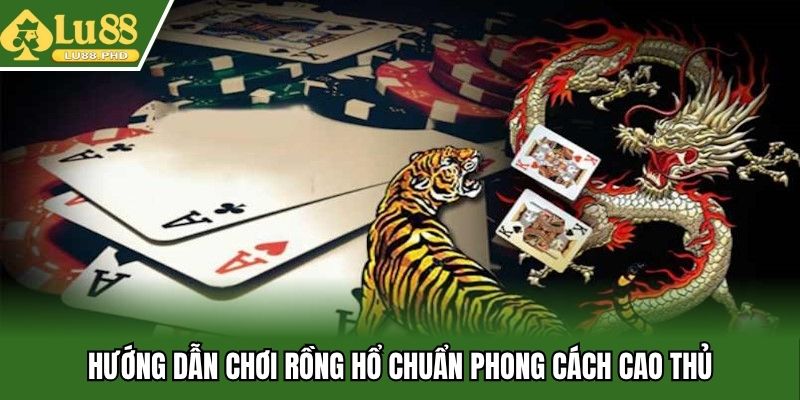 Hướng dẫn chơi rồng hổ chuẩn phong cách cao thủ